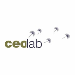 CEOLAB