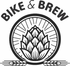 BIKE & BREW