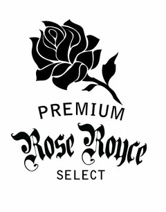 PREMIUM ROSE ROYCE SELECT