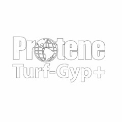 PROTENE TURF-GYP+