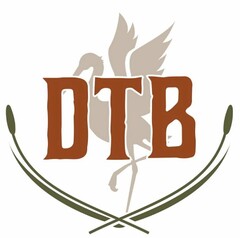 DTB