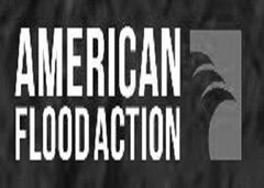 AMERICAN FLOOD ACTION