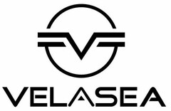 V VELASEA