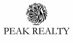 PEAK REALTY