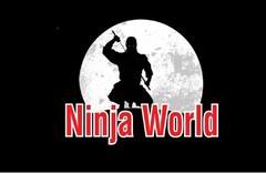 NINJA WORLD