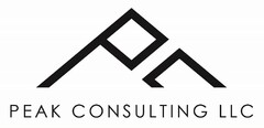 PEAK CONSULTING LLC