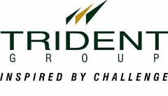 TRIDENT GROUP INSPIRED BY CHALLENGE