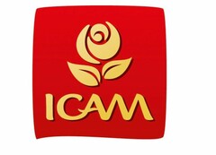 ICAM