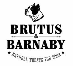 BRUTUS & BARNABY NATURAL TREATS FOR DOGS