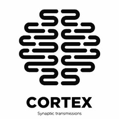 CORTEX SYNAPTIC TRANSMISSIONS