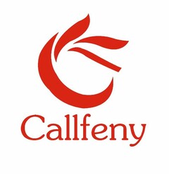 C CALLFENY