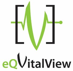 V EQVITALVIEW