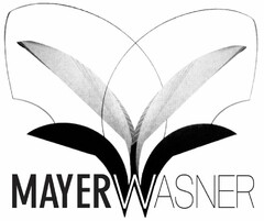 MAYERWASNER