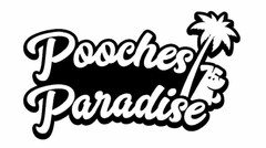POOCHES PARADISE