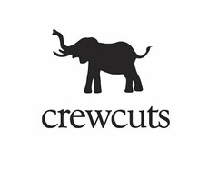 CREWCUTS