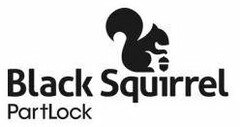BLACK SQUIRREL PARTLOCK