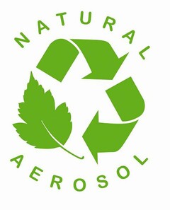 NATURAL AEROSOL