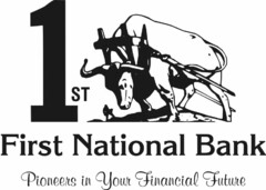 1ST FIRST NATIONAL BANK PIONEERS IN YOUR FINANCIAL FUTURE