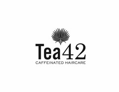 TEA42 CAFFEINATED HAIRCARE