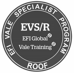 EFI VALE SPECIALIST PROGRAM ROOF EVS/R EFI GLOBAL VALE TRAINING