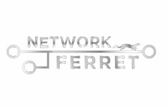 NETWORK FERRET