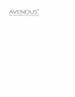 AVENDUS THE NEXT LEVEL IS THE ONLY LEVEL