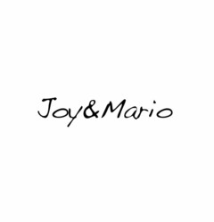 JOY&MARIO