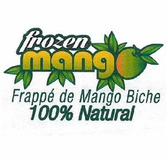 FROZEN MANGO FRAPPÉ DE MANGO BICHE 100%NATURAL