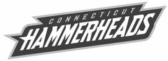 CONNECTICUT HAMMERHEADS