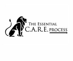 THE ESSENTIAL C.A.R.E. PROCESS