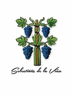 SELECTIONS DE LA VINA