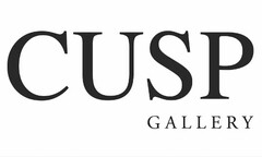 CUSP GALLERY