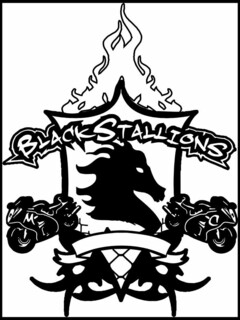 BLACK STALLIONS M C