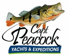 CAPT. PEACOCK YACHTS & EXPEDITIONS