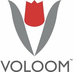 VOLOOM