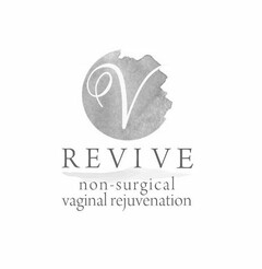 V REVIVE NON-SURGICAL VAGINAL REJUVENATION