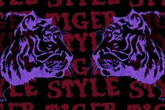 TIGER STYLE