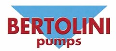 BERTOLINI PUMPS