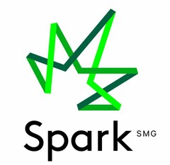 SPARK SMG