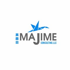 MAJIME CONSULTING, LLC