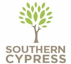 SOUTHERN CYPRESS