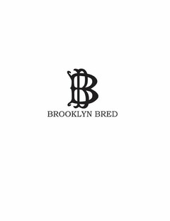 BB BROOKLYN BRED