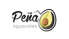 PEÑA AGUACATES