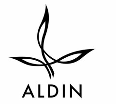 ALDIN