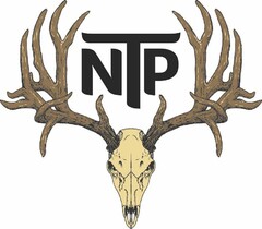 NTP