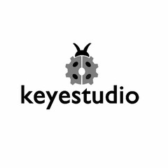 KEYESTUDIO