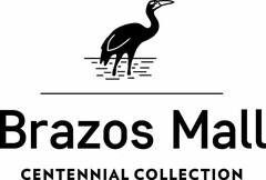 BRAZOS MALL CENTENNIAL COLLECTION