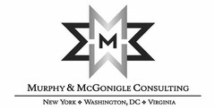 M M M M M MURPHY & MCGONIGLE CONSULTINGNEW YORK WASHINGTON, DC VIRGINIA