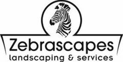 ZEBRASCAPES LANDSCAPING & SERVICES