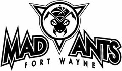 MAD ANTS FORT WAYNE